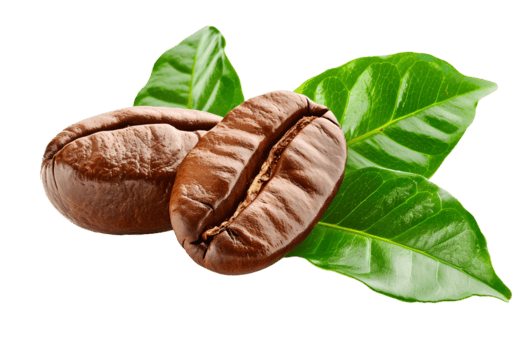 coffee beans with green leaves isolated on transparent background clipping path png